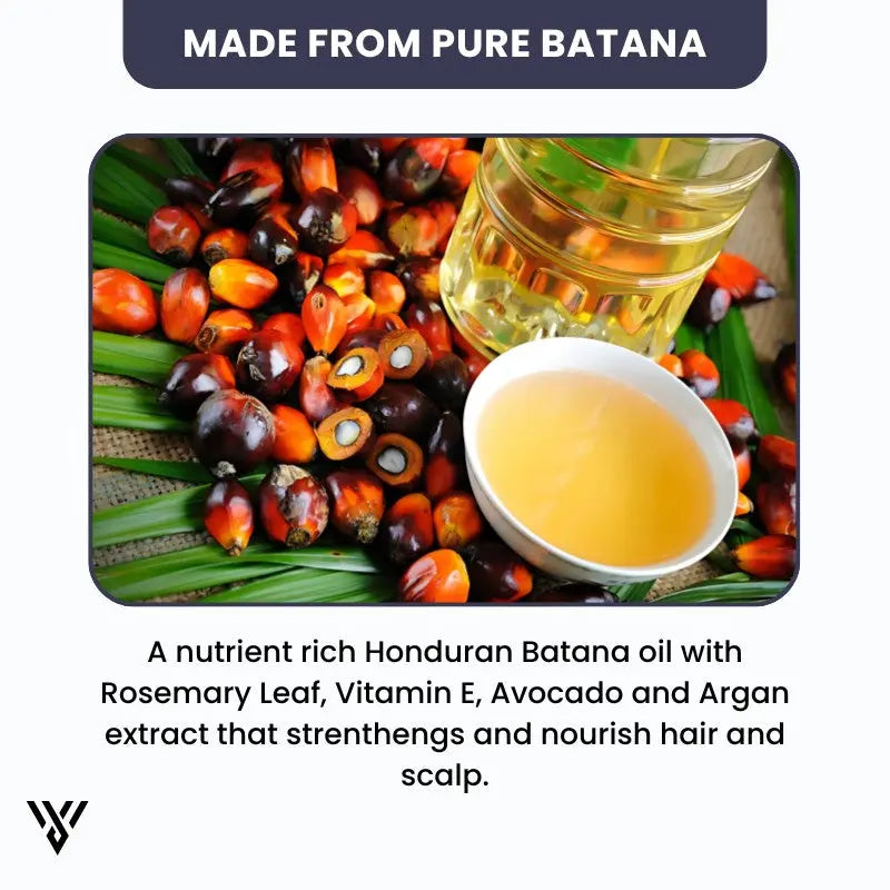 100% Pure Unrefined Batana Hair Oil (120ml, 1-bottle pack), emphasizing it is made from pure Batana - VAYOME.